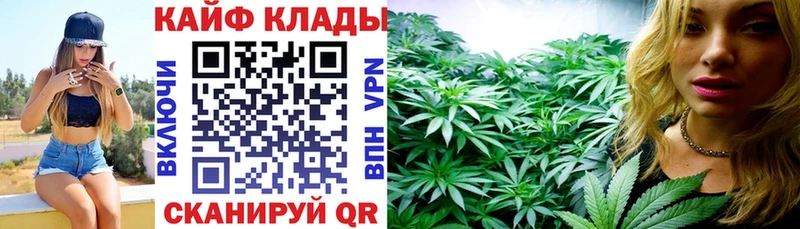 Виды наркотиков купить Тольятти А ПВП  ГАШ  Каннабис  КОКАИН 