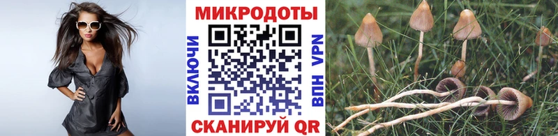 цены   мега как зайти  Галлюциногенные грибы MAGIC MUSHROOMS  Тольятти 